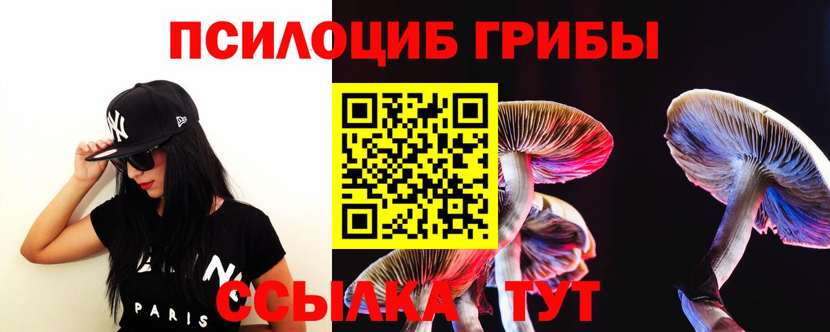 Галлюциногенные грибы прущие грибы  Вход с VPN  купить   Аксай 
